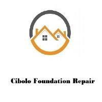 Cibolo Foundation Repair image 1